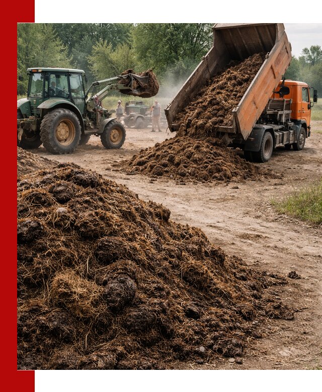 Доставка навоза самосвалами в Бирске для сельхозпотребностей